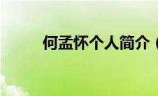 何孟怀个人简介（闪婚剩女简介）