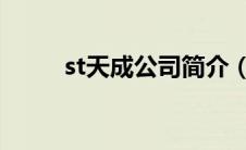 st天成公司简介（ST中纺机简介）