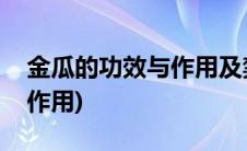 金瓜的功效与作用及禁忌症有(金瓜的功效与作用)