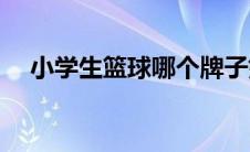 小学生篮球哪个牌子好(篮球哪个牌子好)