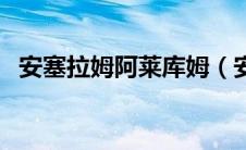 安塞拉姆阿莱库姆（安塞图斯阿库库简介）