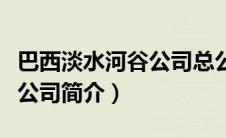 巴西淡水河谷公司总公司地址（巴西淡水河谷公司简介）