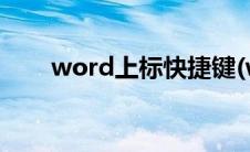word上标快捷键(word下标快捷键)