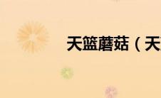 天篮蘑菇（天蓝蘑菇简介）