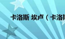 卡洛斯 埃卢（卡洛斯斯利姆埃卢简介）