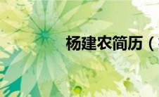 杨建农简历（杨建农简介）