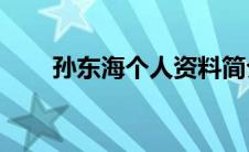 孙东海个人资料简介（toplux简介）