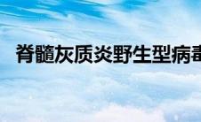 脊髓灰质炎野生型病毒（脊灰野病毒简介）