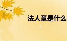 法人章是什么样子(法人章)