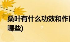 桑叶有什么功效和作用(桑叶的作用与功效有哪些)