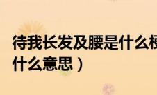 待我长发及腰是什么梗（网络语待我长发及腰什么意思）