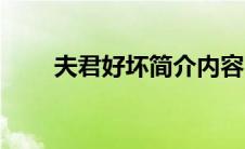 夫君好坏简介内容（夫君好坏简介）