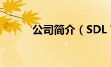 公司简介（SDL TRADOS简介）