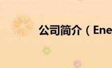 公司简介（EnergyPlus简介）