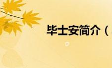 毕士安简介（毕士悌简介）