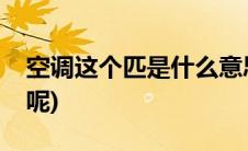空调这个匹是什么意思(空调的匹是什么意思呢)