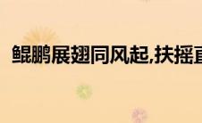 鲲鹏展翅同风起,扶摇直上九万里(鲲鹏展翅)