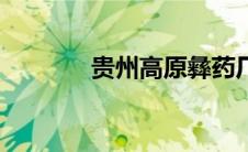 贵州高原彝药厂（彝药简介）