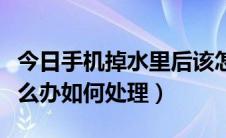 今日手机掉水里后该怎么办（手机掉水里后怎么办如何处理）