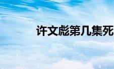 许文彪第几集死（许文彪简介）