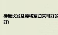 待我长发及腰将军归来可好的意思(待我长发及腰将军归来可好)