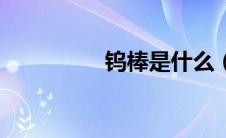 钨棒是什么（钨棒简介）