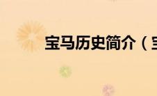 宝马历史简介（宝马535Li简介）