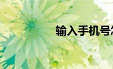 输入手机号怎么查快递