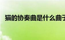 猫的协奏曲是什么曲子（猫的协奏曲简介）