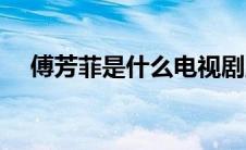 傅芳菲是什么电视剧里的（傅芬芳简介）