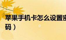 苹果手机卡怎么设置密码（手机卡怎么设置密码）