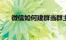 微信如何建群当群主（微信如何建群）