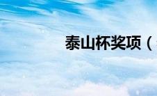 泰山杯奖项（泰山杯简介）