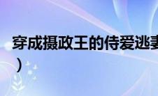 穿成摄政王的侍爱逃妻（摄政王的拽丫头简介）