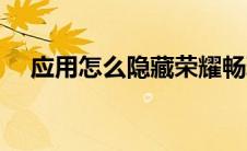 应用怎么隐藏荣耀畅玩（应用怎么隐藏）