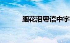 胭花泪粤语中字（胭花笑简介）