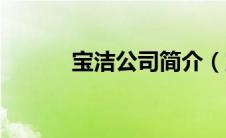 宝洁公司简介（宝洁公司介绍）