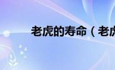 老虎的寿命（老虎的寿命有多长）