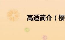 高适简介（樱花恋曲简介）
