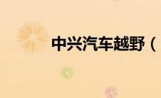 中兴汽车越野（中兴驰野简介）