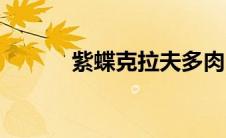 紫蝶克拉夫多肉（紫蝶虫简介）