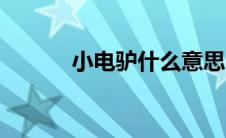 小电驴什么意思（小电驴解释）