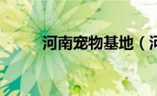 河南宠物基地（河南宠物城简介）