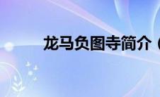 龙马负图寺简介（机械龙马简介）