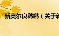 新奥尔良鹈鹕（关于新奥尔良鹈鹕的介绍）
