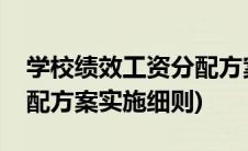 学校绩效工资分配方案实施细则(绩效工资分配方案实施细则)