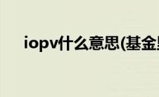 iopv什么意思(基金里iopv代表啥意思)