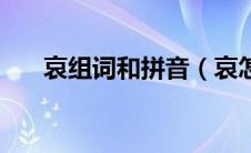 哀组词和拼音（哀怎么组词以及拼音）