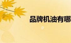 品牌机油有哪些（品牌机）