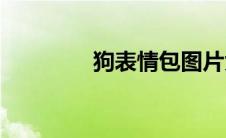 狗表情包图片大全(狗表情)